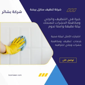 شركة تنظيف منازل بيشة