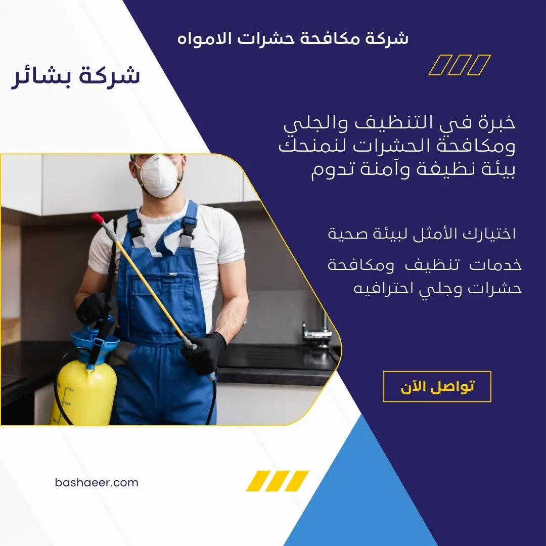 شركة مكافحة حشرات الامواه 3 شركة مكافحة النمل الأبيض بالامواه