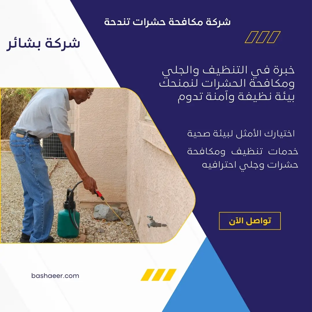 شركة مكافحة الوزغ بتندحة