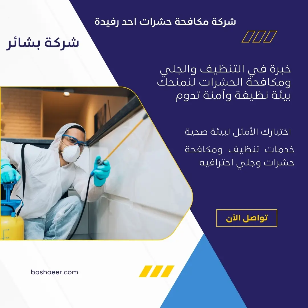 شركة مكافحة حشرات احد رفيدة 3 مكافحة الوزغ باحد رفيدة